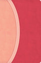 CSB Rainbow Study Bible Pink Indexed (Black Letter Edition)