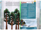 NLT Go Bible for Kids, Blue Mountains