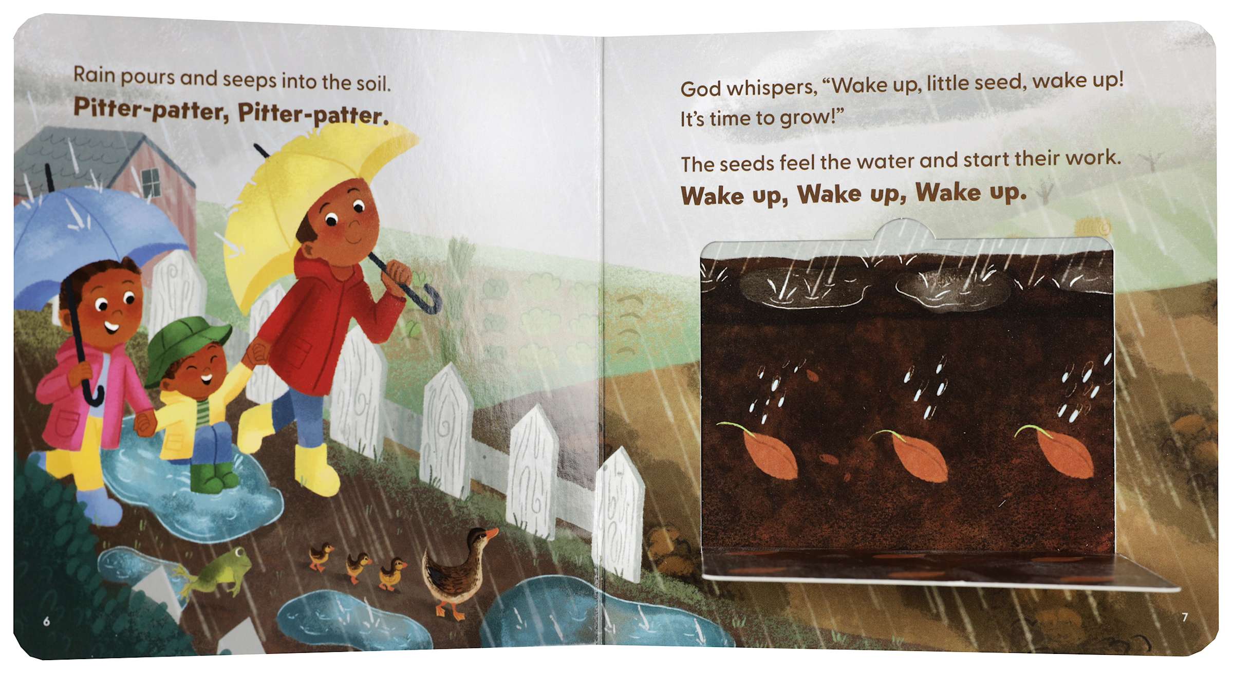 Wake Up, Little Seed