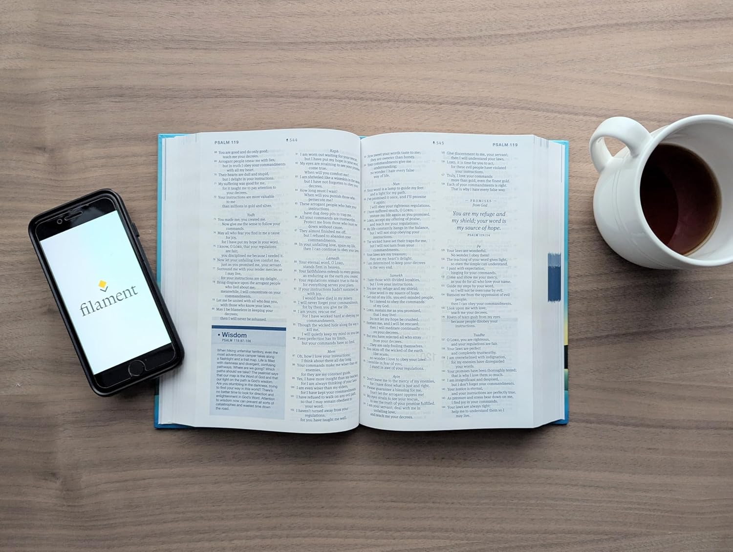 NLT Helpfinder Bible, Filament Enabled (Red Letter Edition)