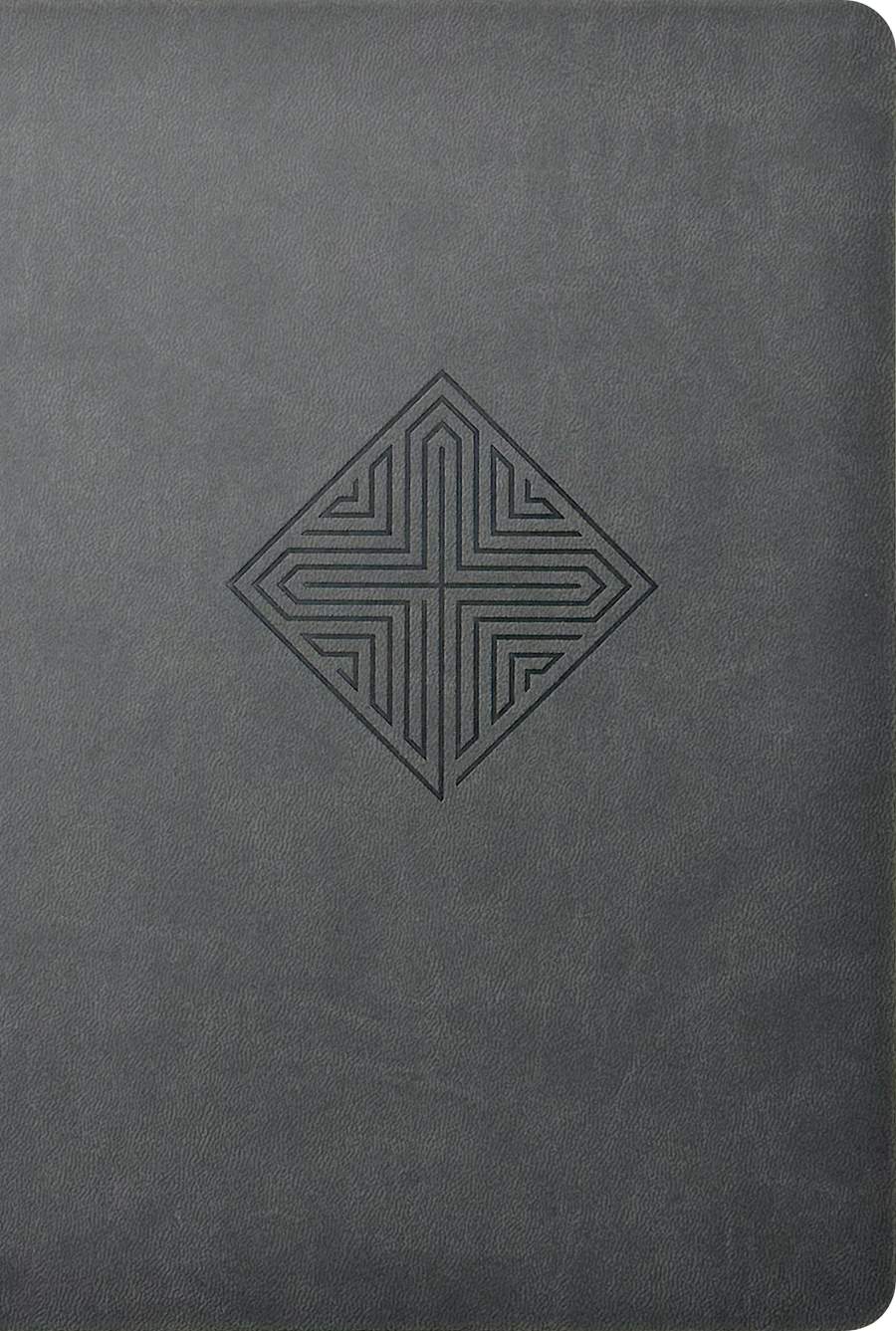 NLT Large Print Premium Value Thinline Bible Filament Enabled Edition Crossroads Gray