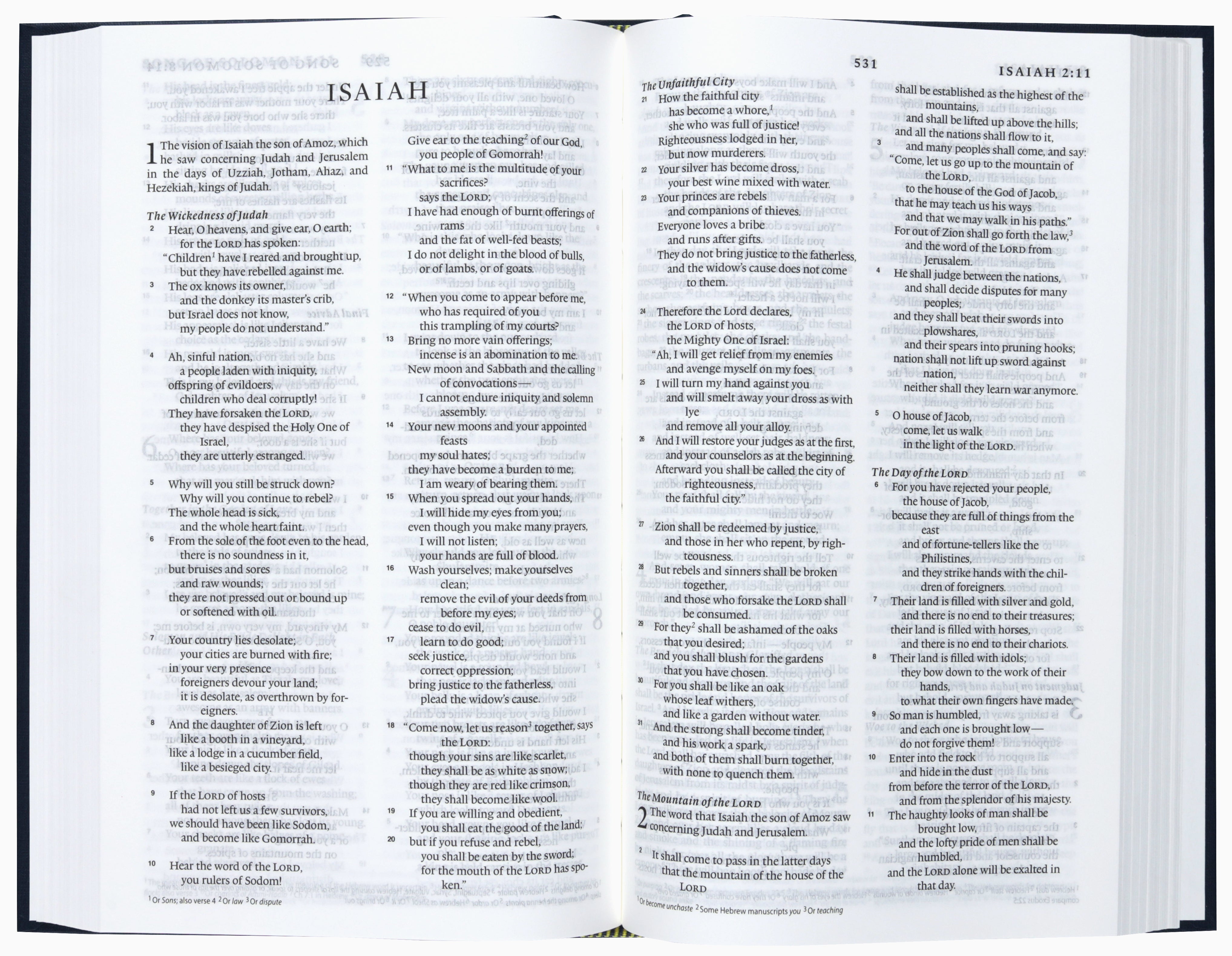 ESV Church Bible Blue (Black Letter Edition)