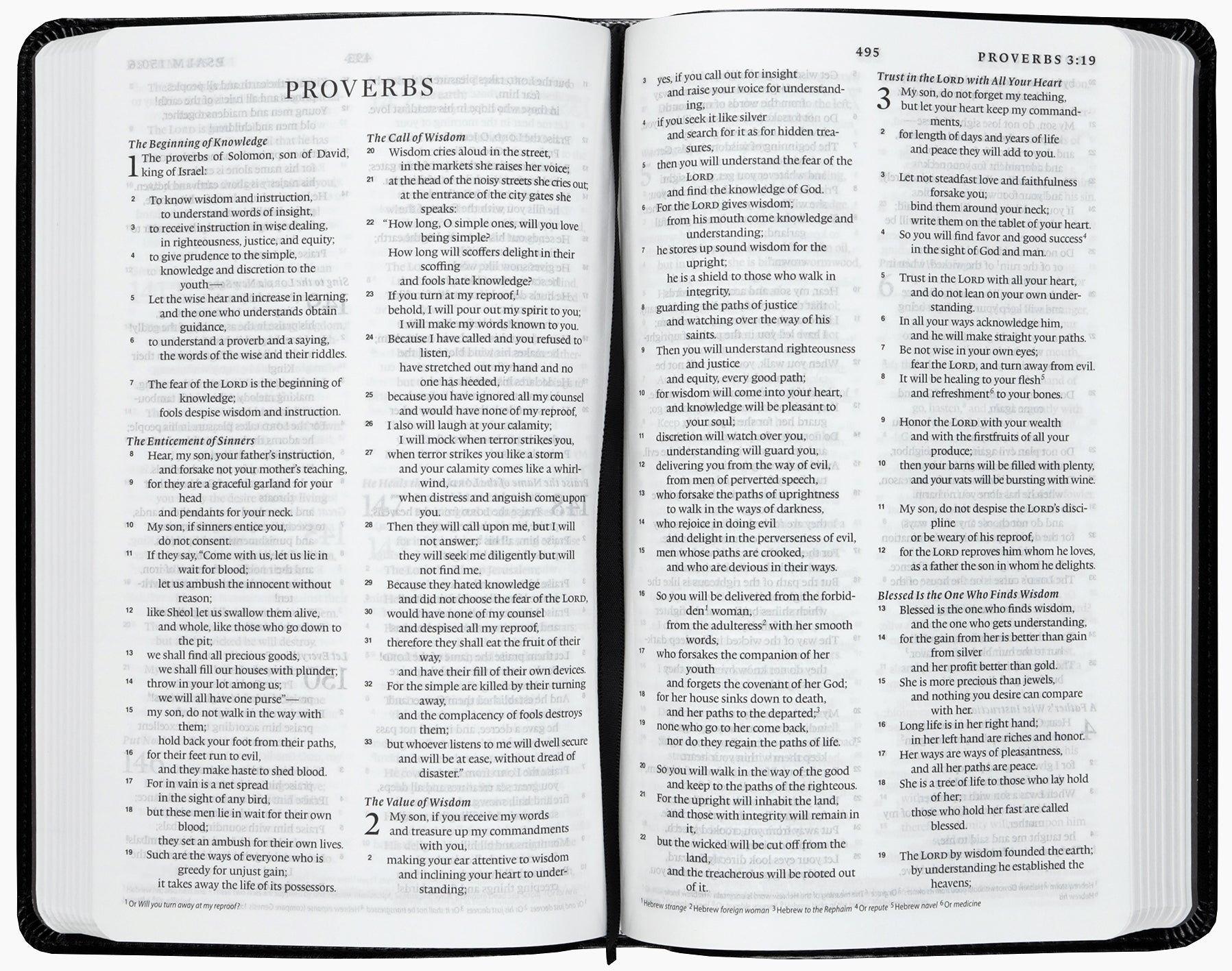 ESV Premium Church Bible, Black