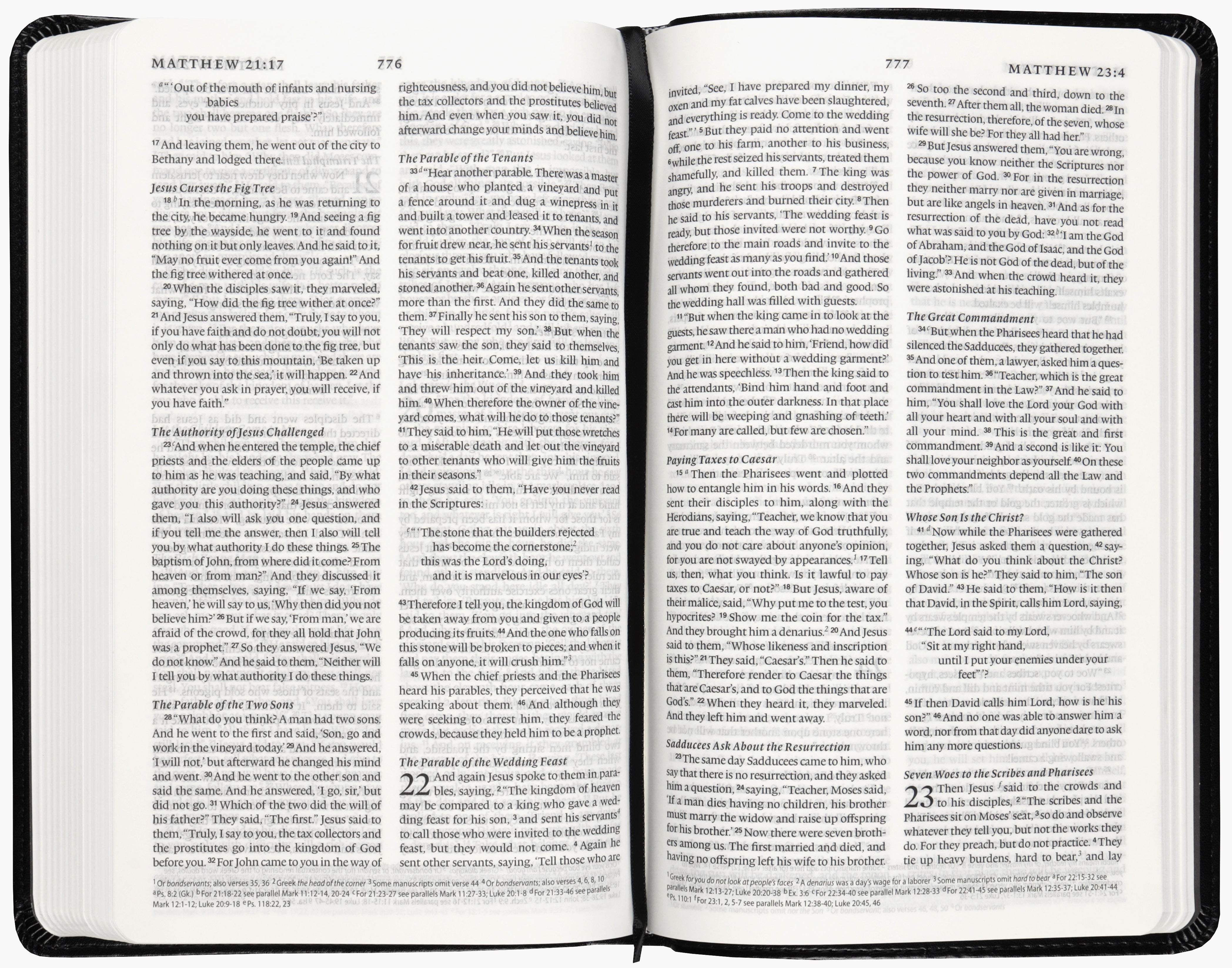 ESV Premium Church Bible, Black