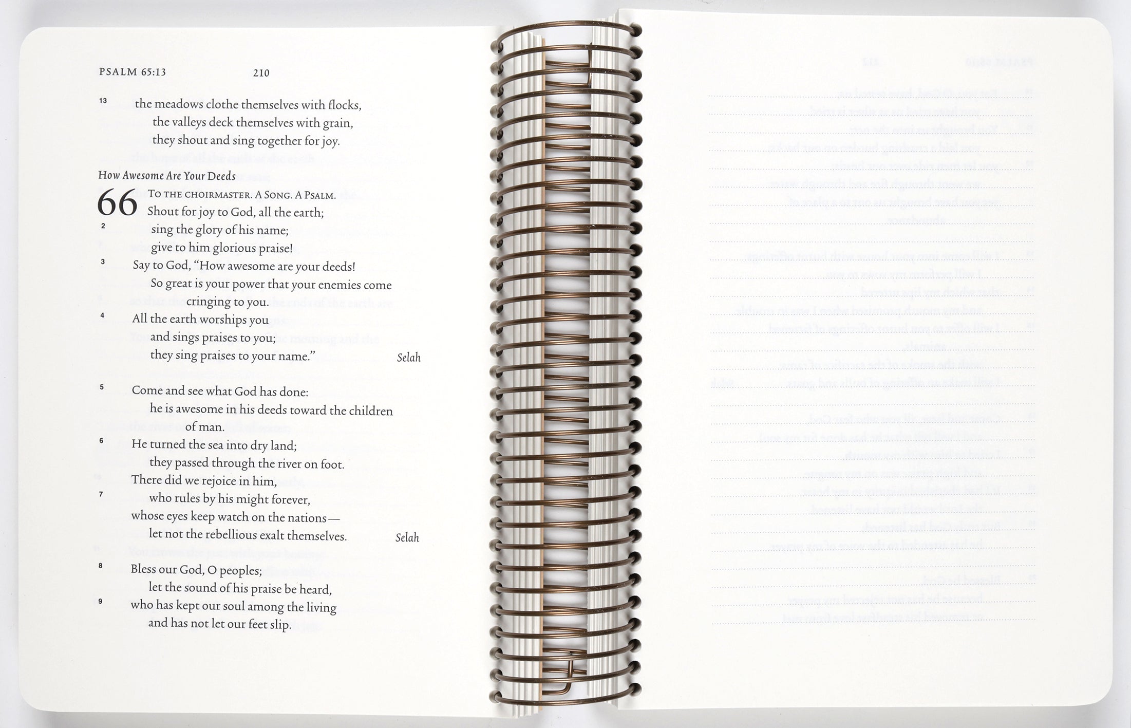ESV Scripture Journal Psalms (Spiral Bound Paperback)