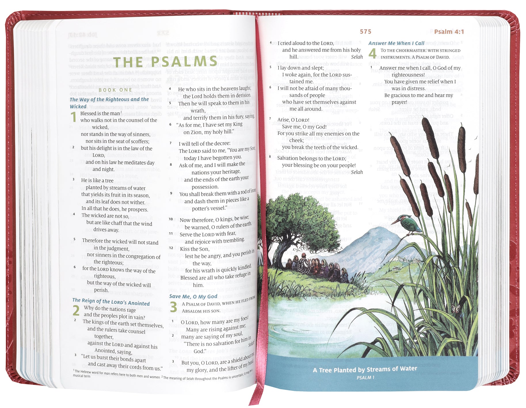 ESV Children's Bible, Coral