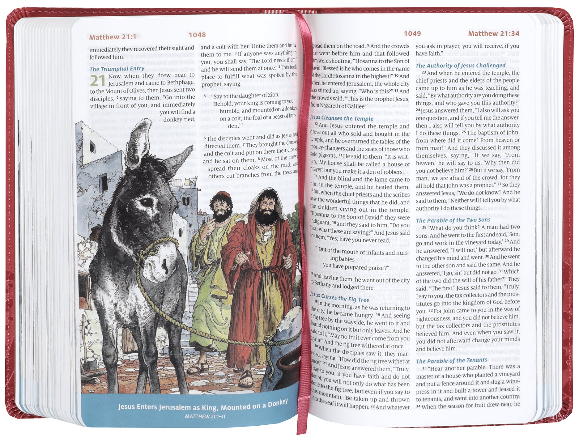 ESV Children's Bible, Coral