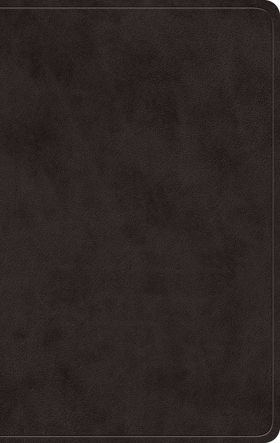 ESV Giant Print Value Personal Size Bible Black (Red Letter Edition)