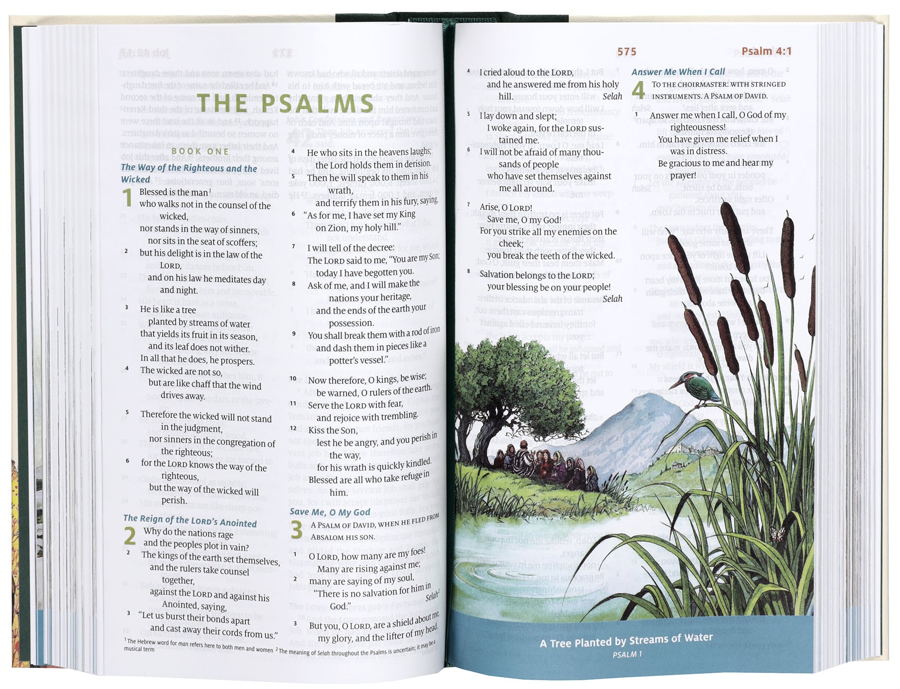 ESV Children's Bible: Let the Children Come