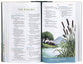 ESV Children's Bible: Let the Children Come
