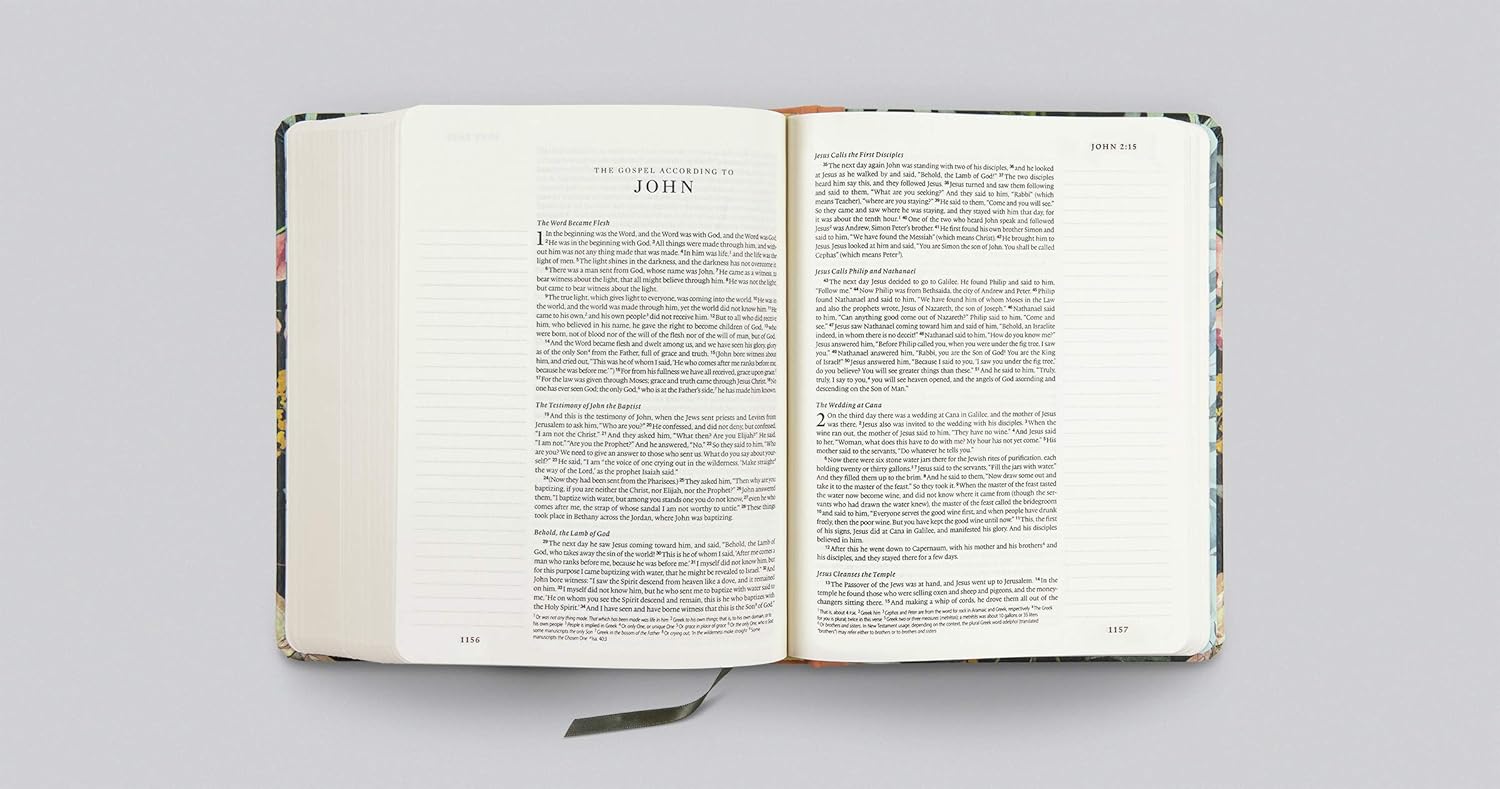 ESV Single Column Journaling Bible, Artist Series (Ruth Chou Simons, Be Transformed)