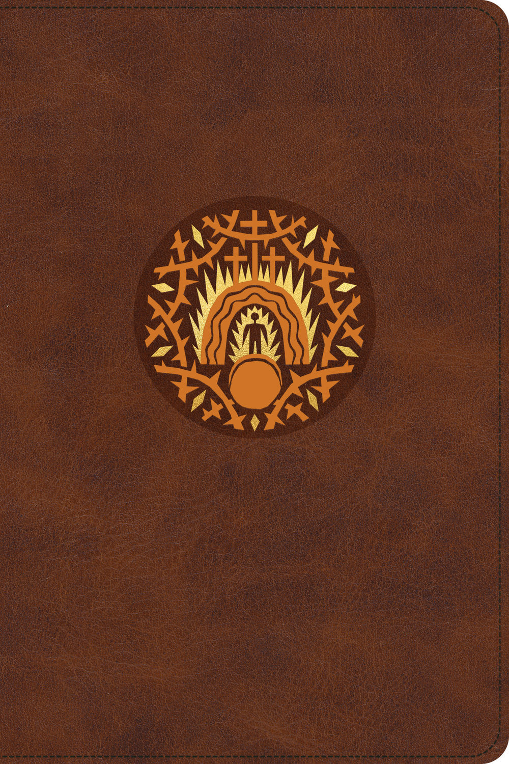 ESV The Biggest Story Holy Bible for Kids Brown Living Hope Design Indexed (Black Letter Edition)