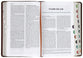 ESV The Biggest Story Holy Bible for Kids Brown Living Hope Design Indexed (Black Letter Edition)