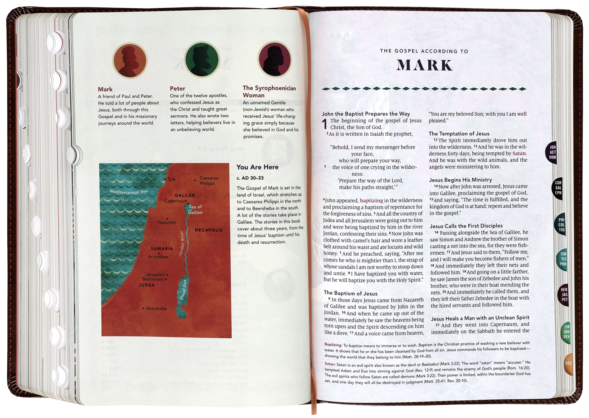 ESV The Biggest Story Holy Bible for Kids Brown Living Hope Design Indexed (Black Letter Edition)