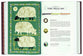 ESV The Biggest Story Holy Bible for Kids Teal, Waterfall Design