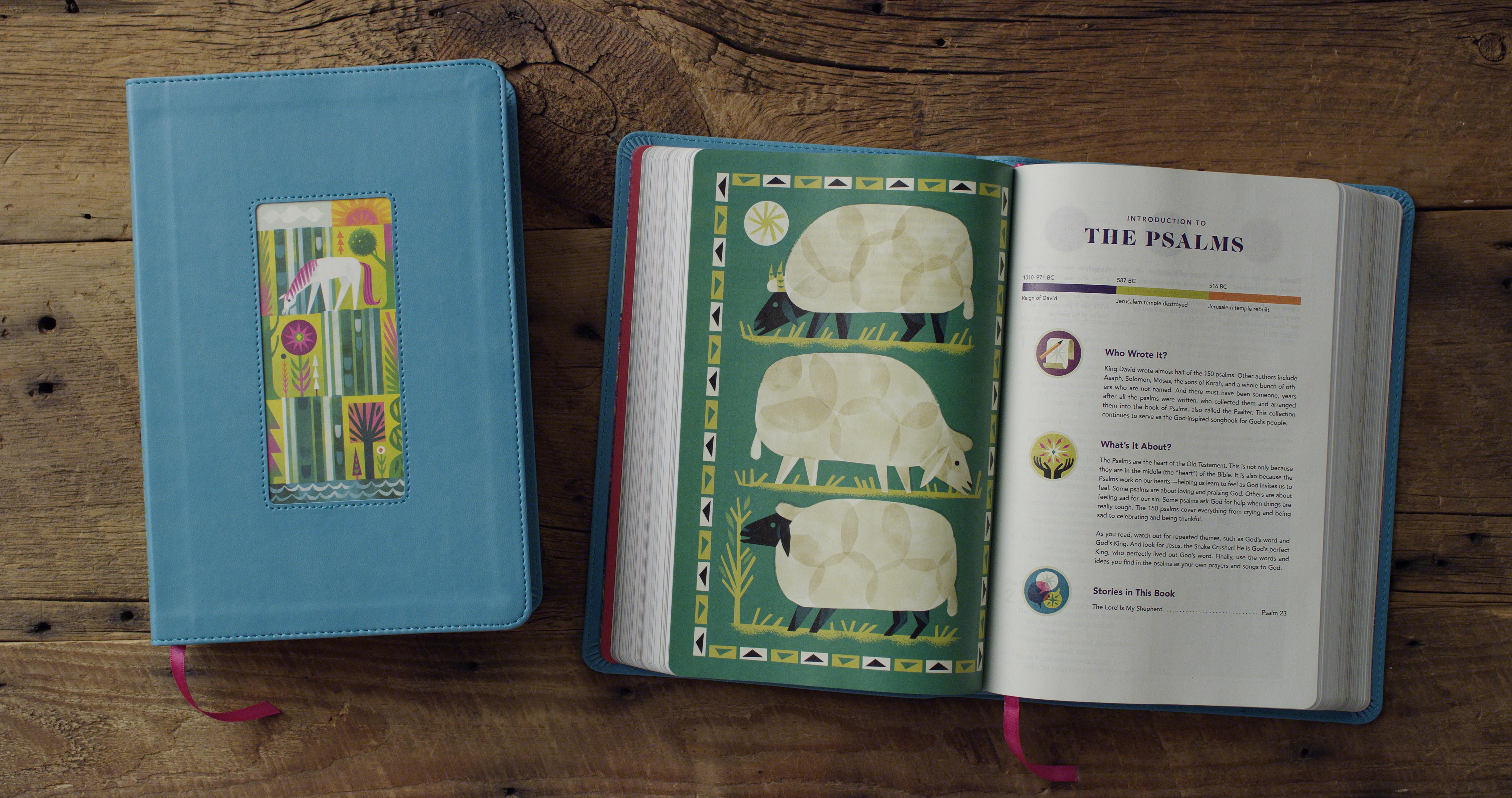 ESV The Biggest Story Holy Bible for Kids Teal, Waterfall Design