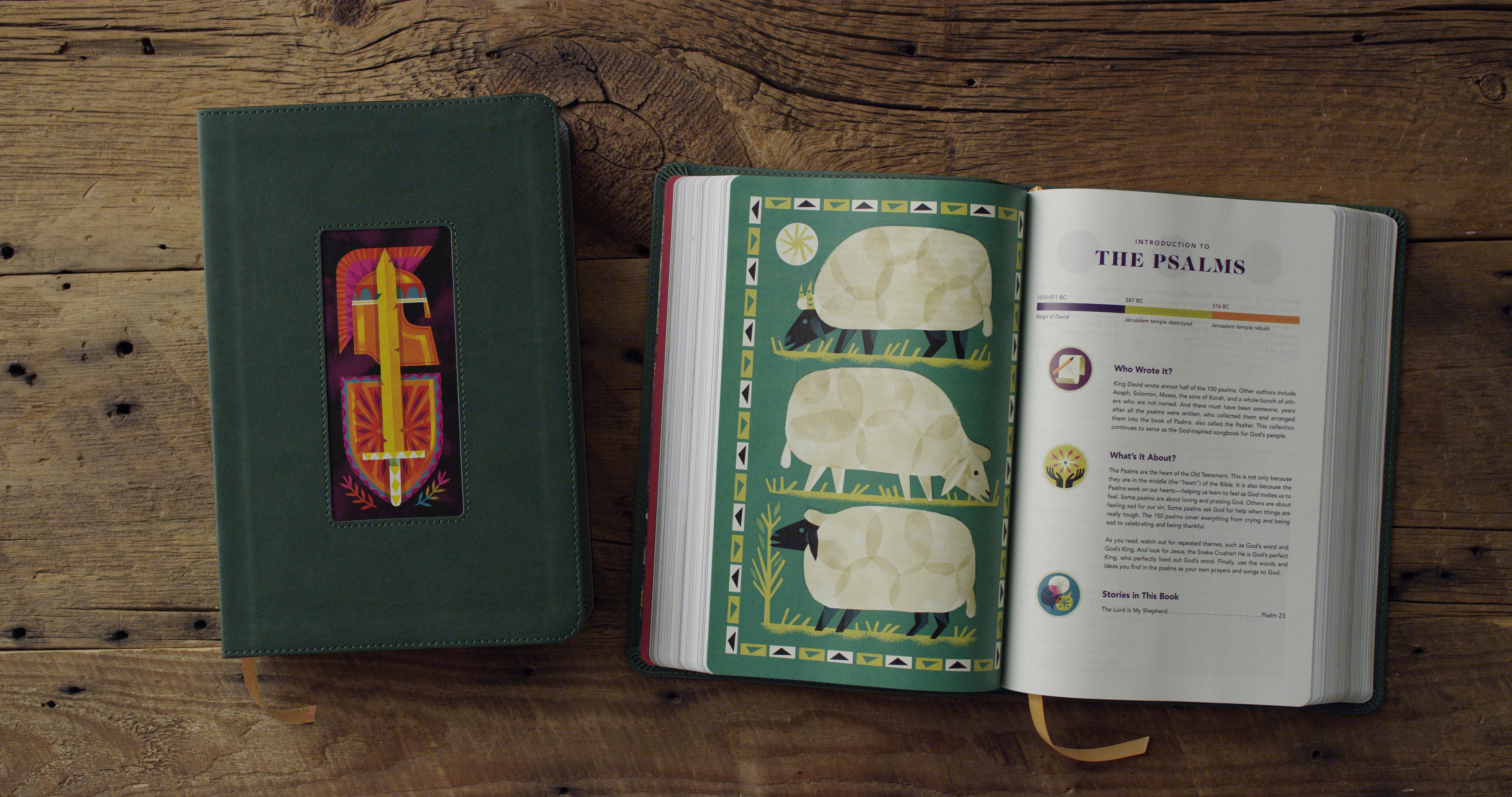 ESV The Biggest Story Holy Bible for Kids Dark Green, Armor Design