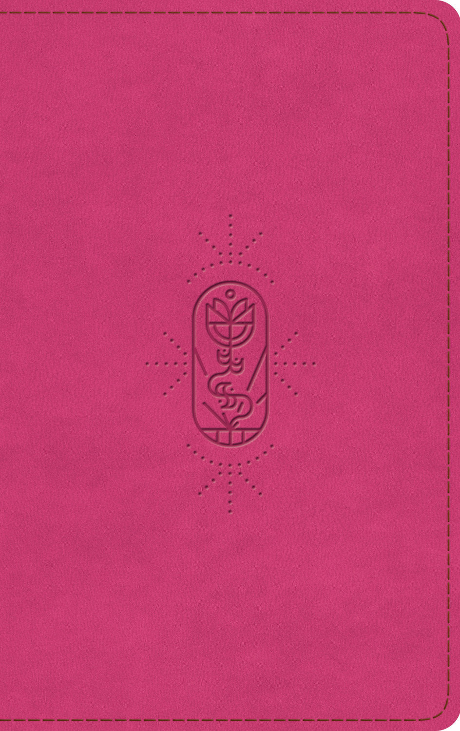 ESV Holy Bible For Kids Berry The True Vine Design (Black Letter Edition)