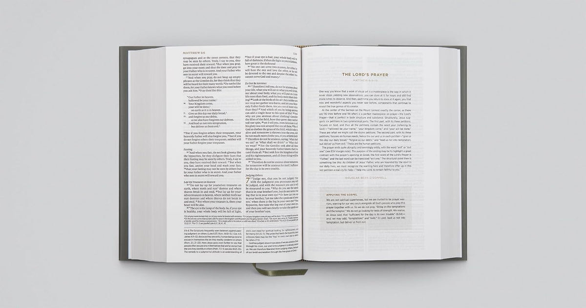 ESV Applying the Gospel Study Bible for Men