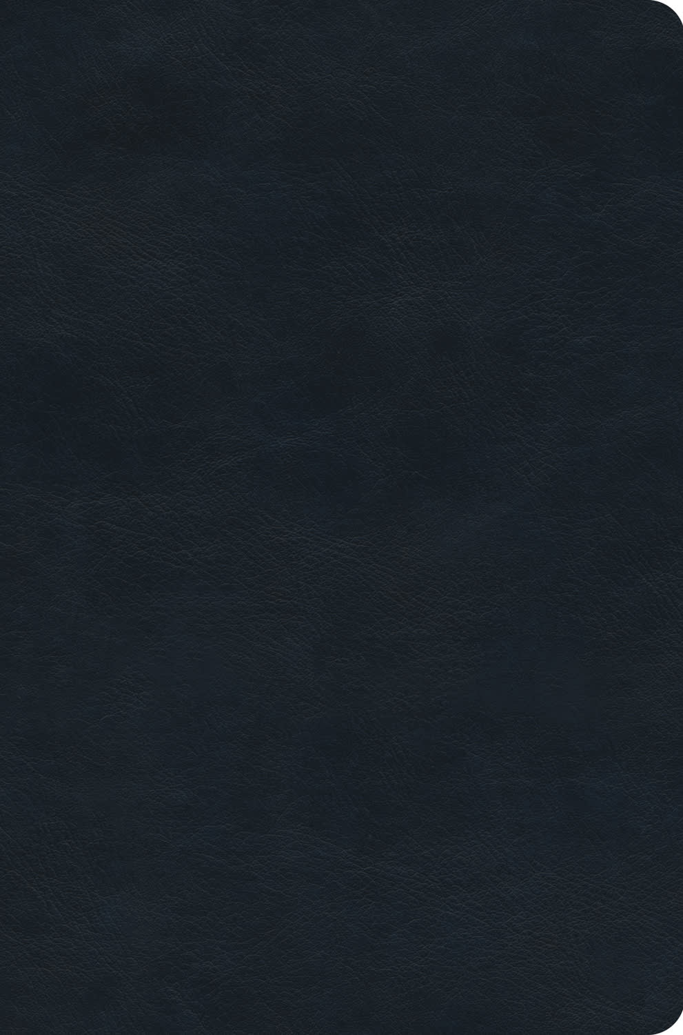 ESV Value Compact Bible Navy