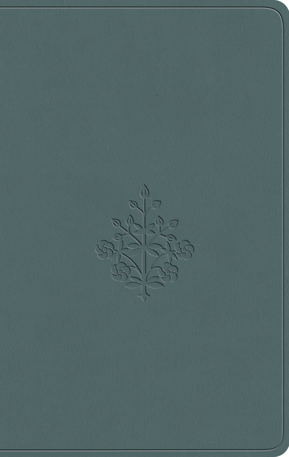 ESV Value Compact Bible Paris Sky, Branch Design