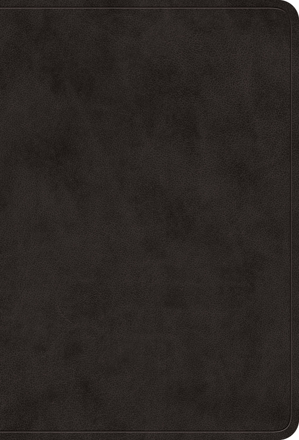 ESV Value Large Print Compact Bible Black