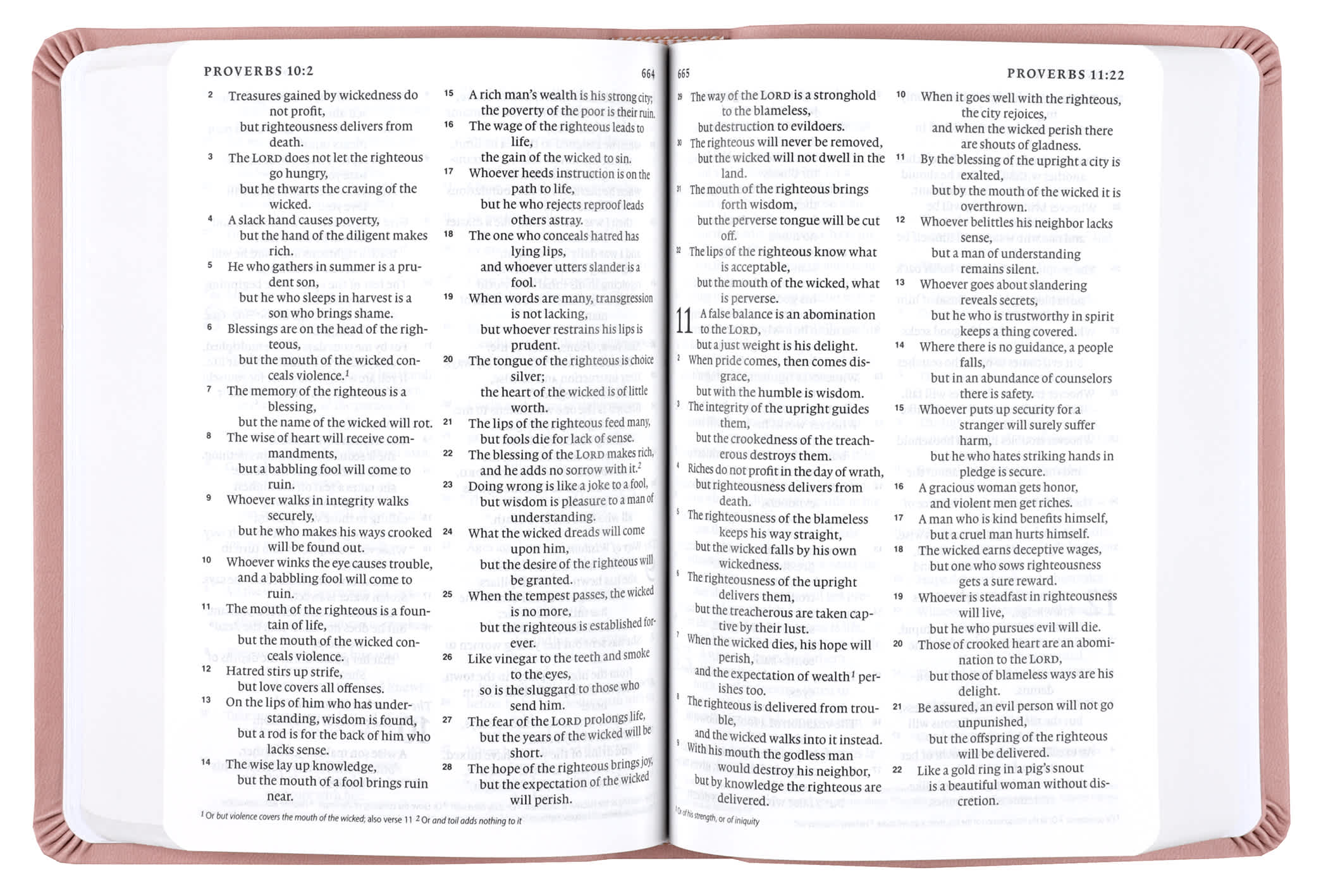 ESV Value Large Print Compact Bible (Blush Rose, Fleur-de-lis Design)
