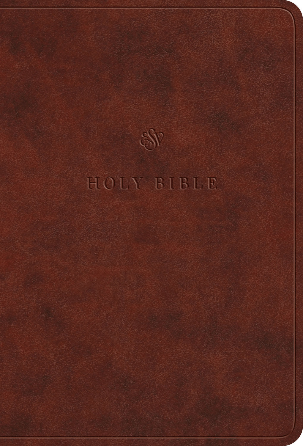 ESV Value Large Print Compact Bible (Chestnut)