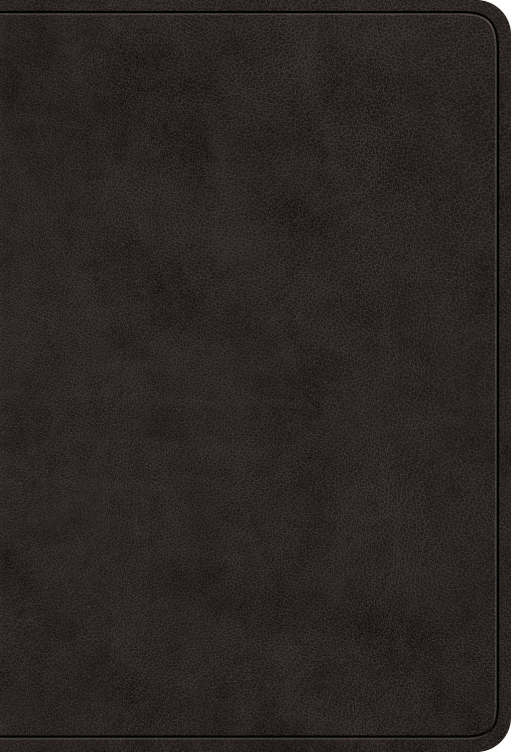 ESV Value Large Print Compact Bible Black (Red Letter Edition)