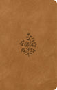 ESV Premium Gift Bible Nubuck Caramel, Wildflower Design