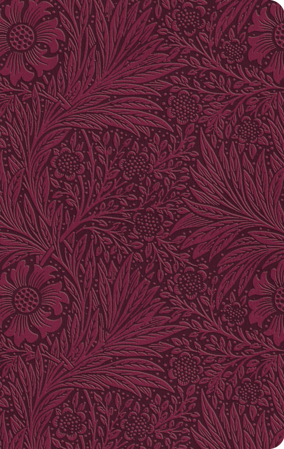 ESV Value Thinline Bible Raspberry Floral Design