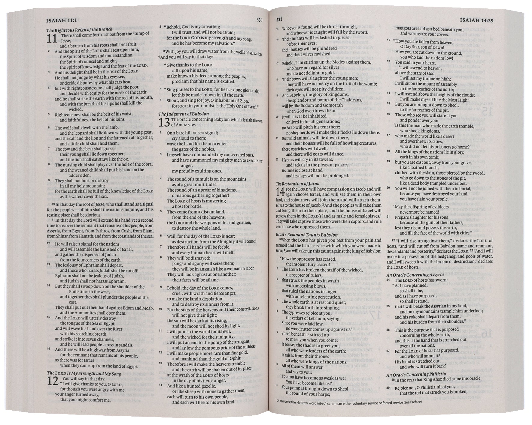 ESV Economy Bible (Black Letter Edition)