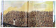 Jude and the Extraordinary, Spectacular, Miraculous Day: A Creative Retelling of the Feeding of the 5,000