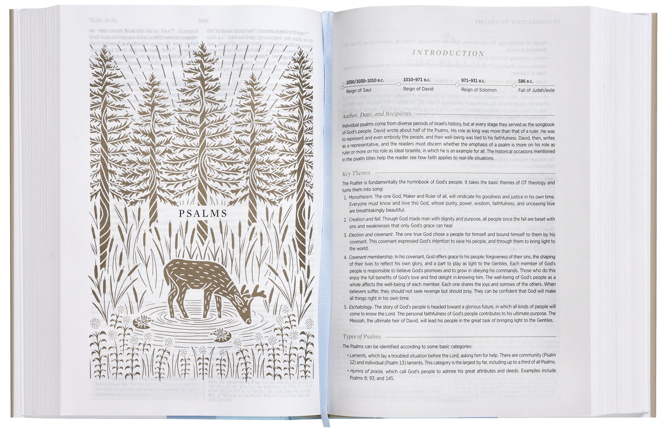 ESV Women's Study Bible Blush Wildflower (Black Letter Edition)
