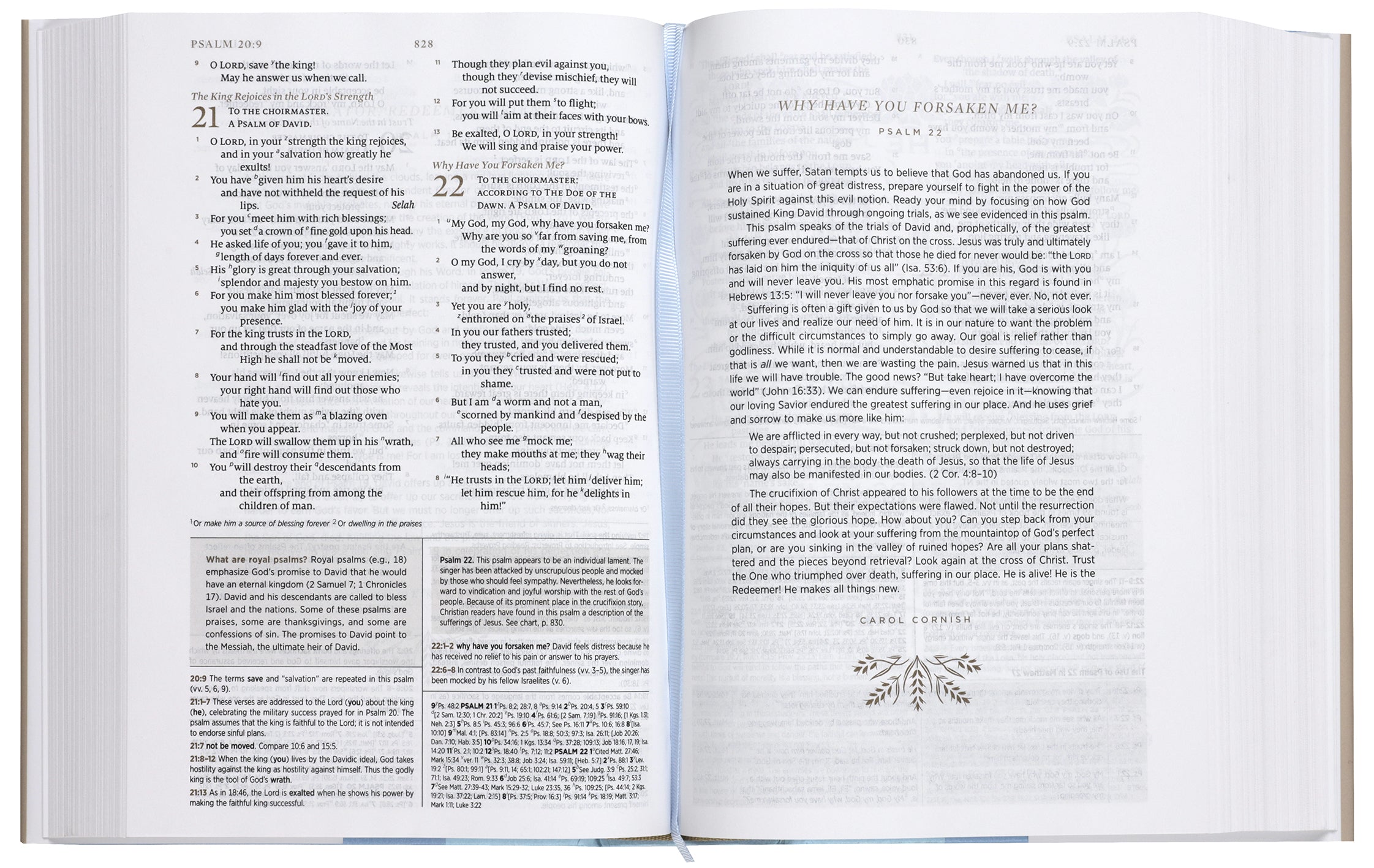 ESV Women's Study Bible Blush Wildflower (Black Letter Edition)