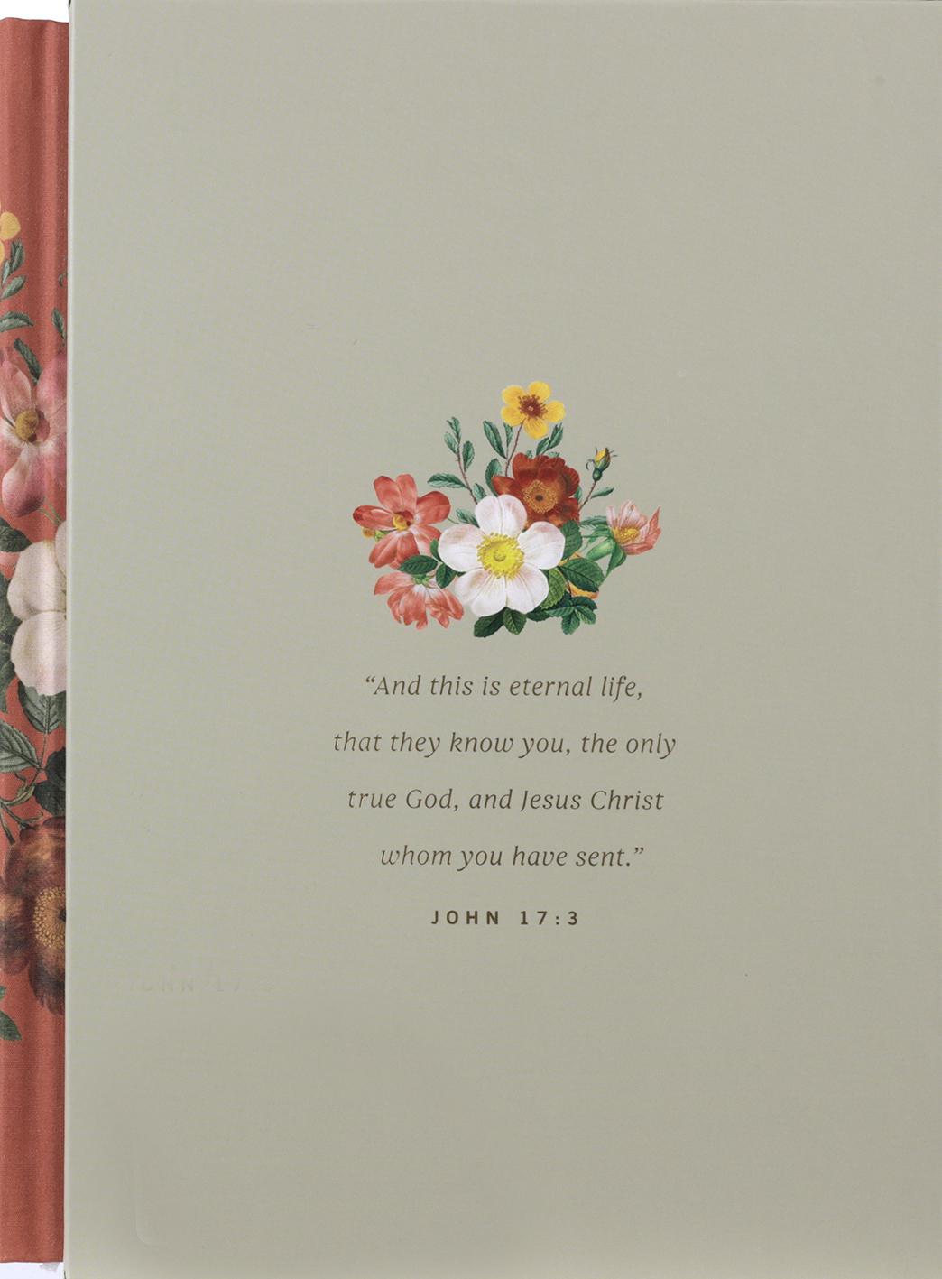 None Like Him and in His Image: Beholding the Character of God (2 Volumes in 1 Gift Edition)