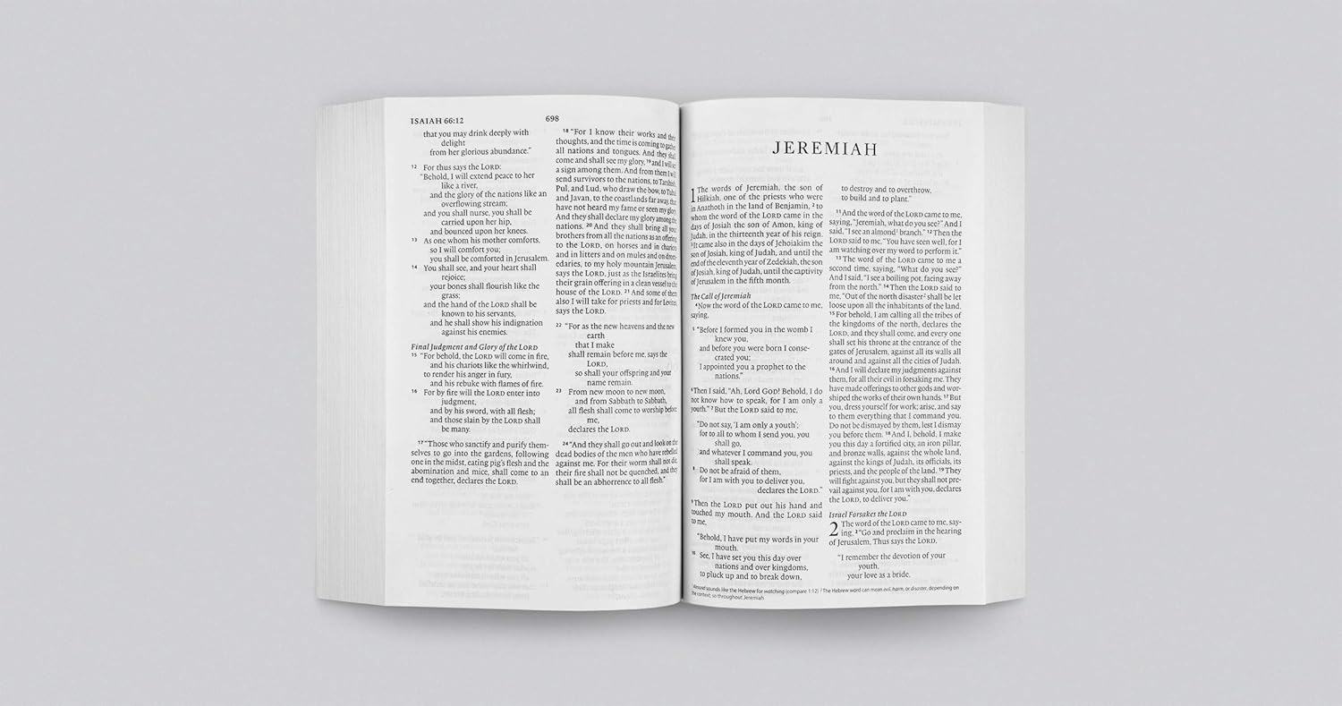ESV Economy Bible Large Print (Black Letter Edition)