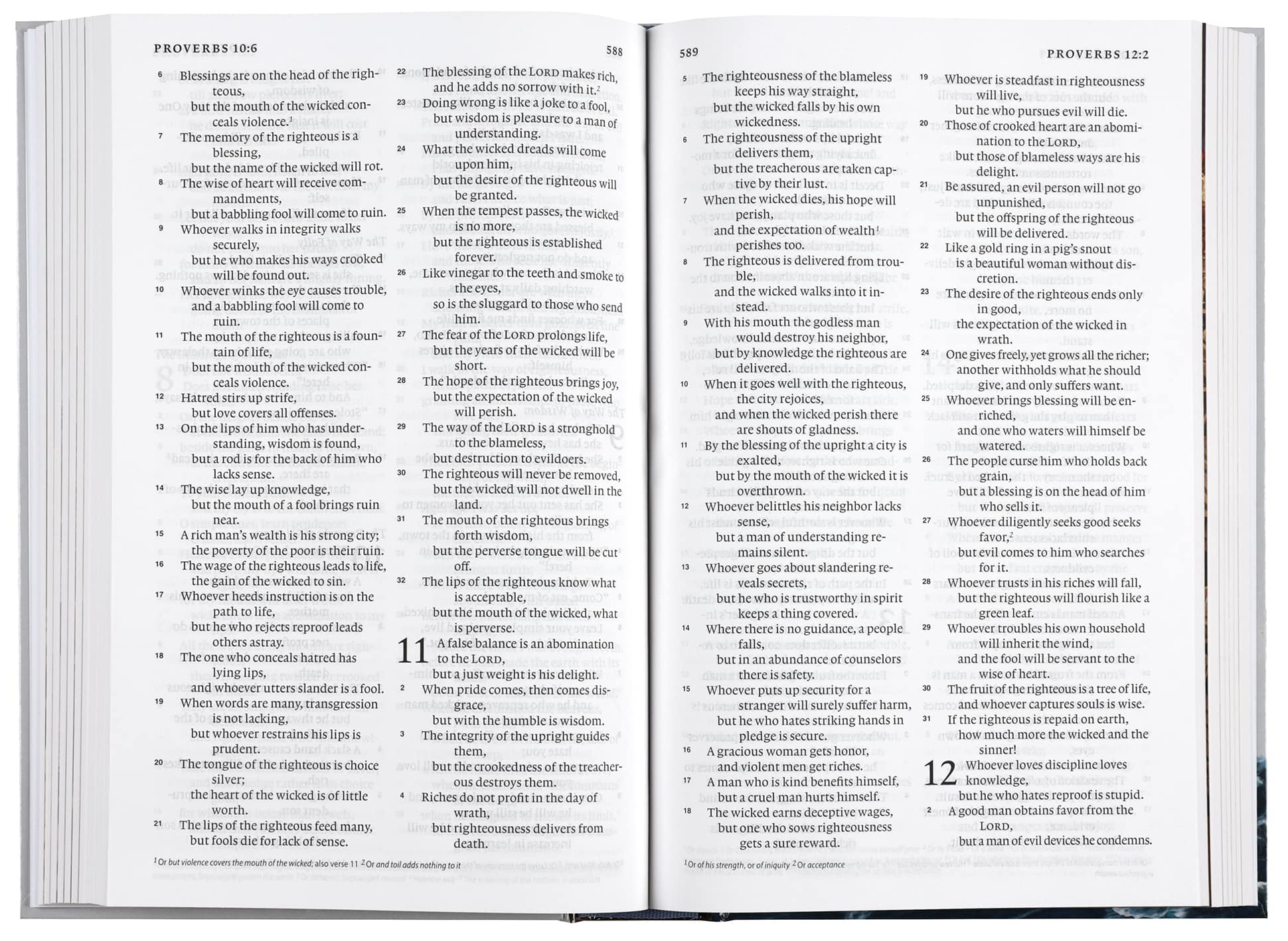ESV Holy Bible For Kids Large Print (Black Letter Edition)