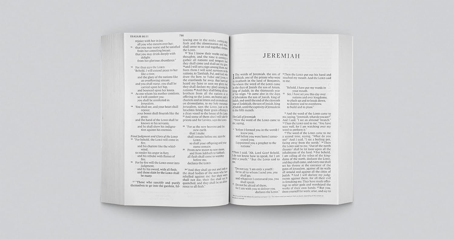 ESV Economy Bible Giant Print (Black Letter Edition)