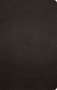 ESV Giant Print Personal Size Bible Deep Brown (Red Letter Edition)