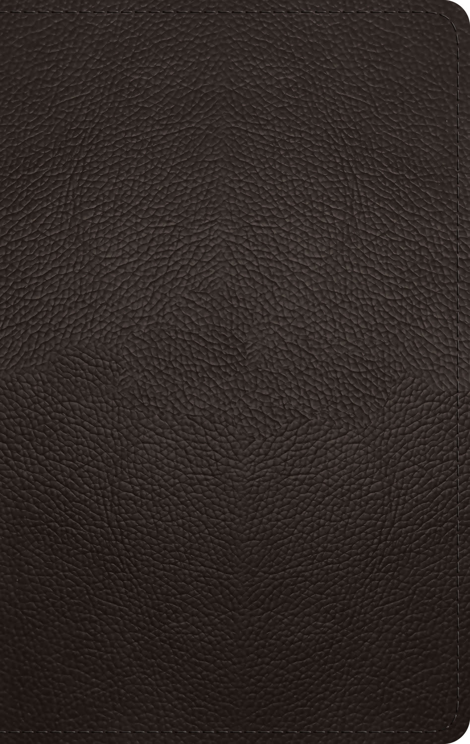 ESV Giant Print Personal Size Bible Deep Brown (Red Letter Edition)