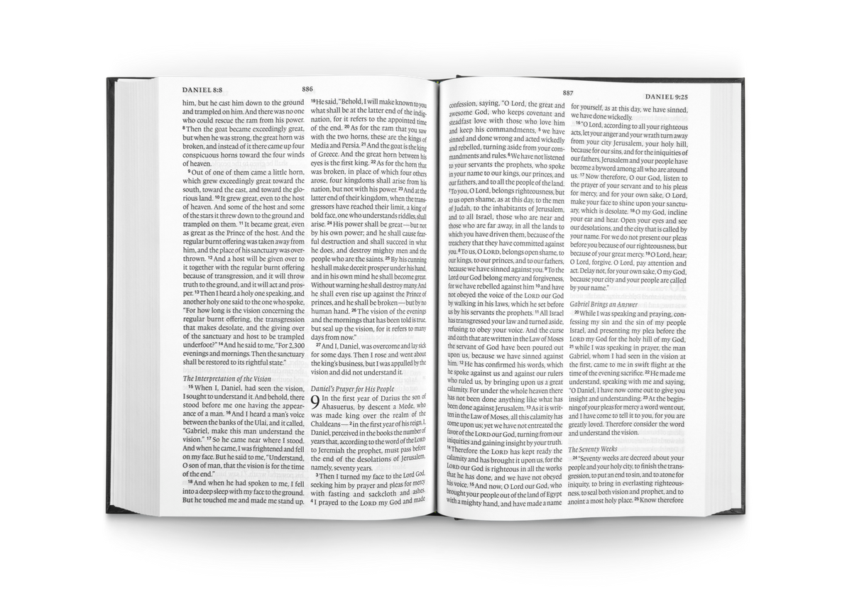 ESV Pew and Worship Bible, Large Print, Black