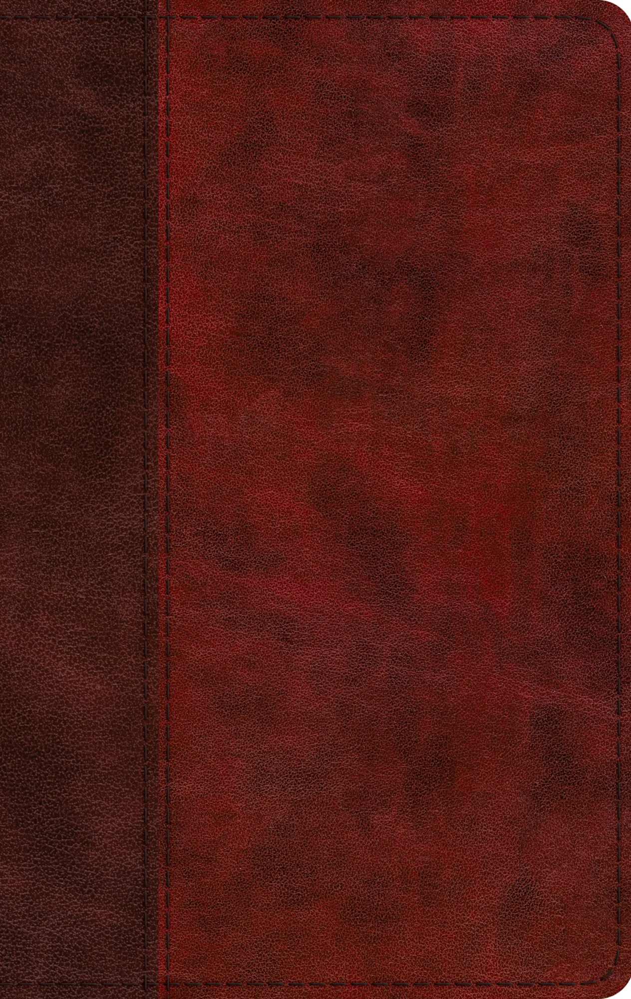 ESV Large Print Thinline Bible Burgundy/Red, Timeless Design (Black Letter Edition)