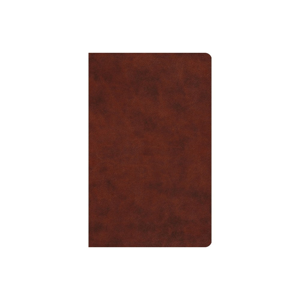 ESV Large Print Value Thinline Bible Chestnut