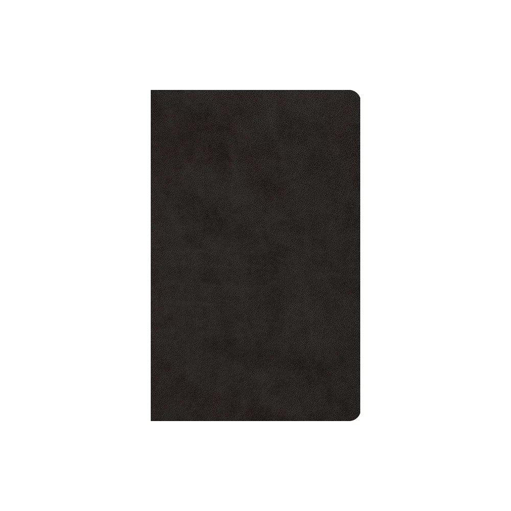 ESV Large Print Value Thinline Bible Black