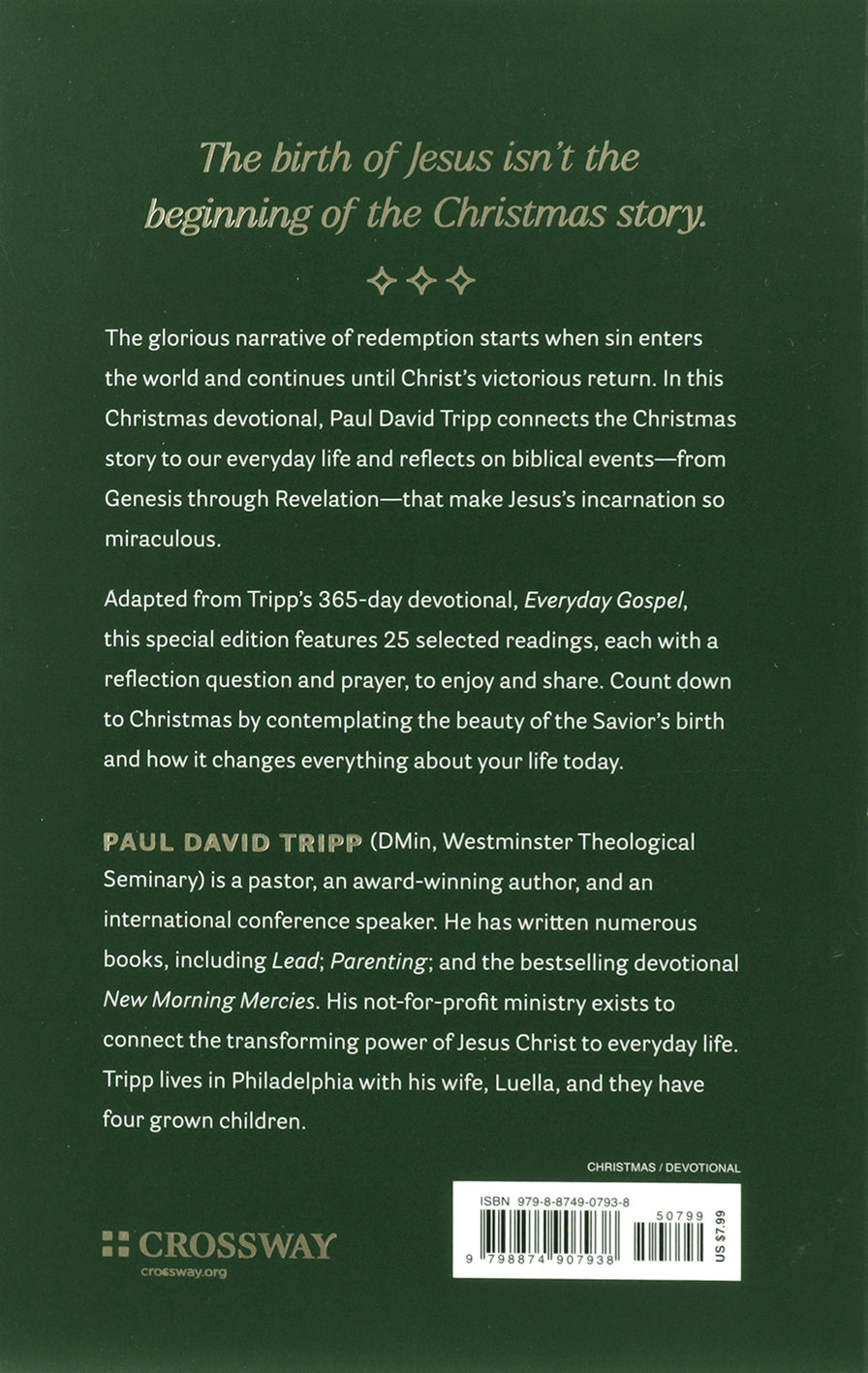 Everyday Gospel Christmas Devotional