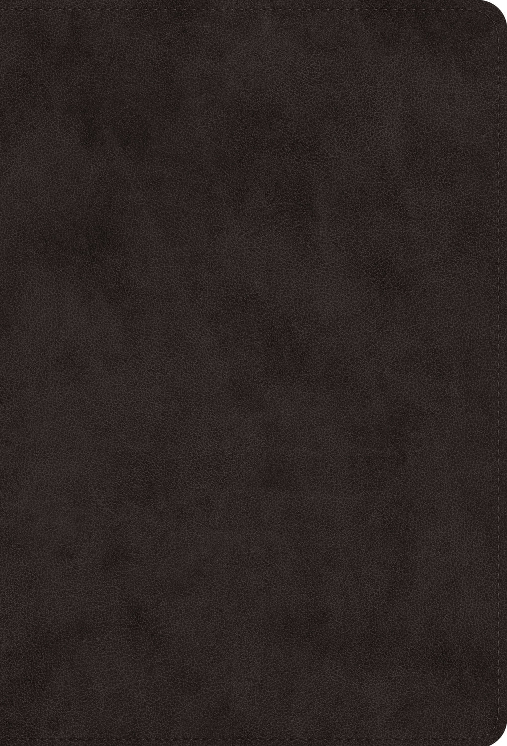 ESV Giant Print Value Thinline Bible Black (Black Letter Edition)