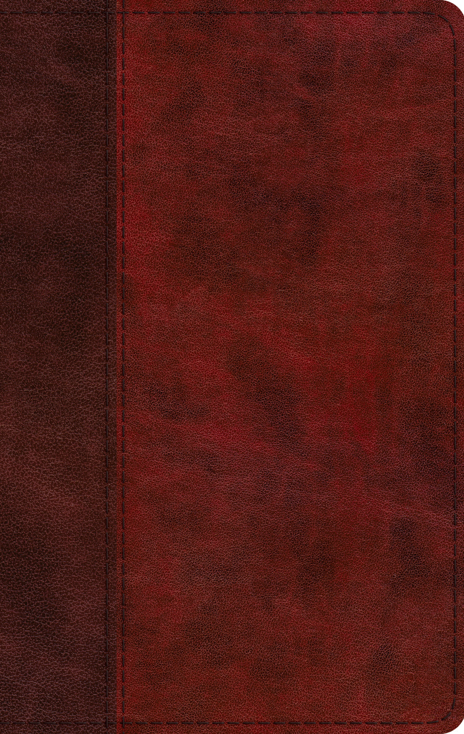 ESV Large Print Thinline Bible Burgundy/Red (Red Letter Edition)