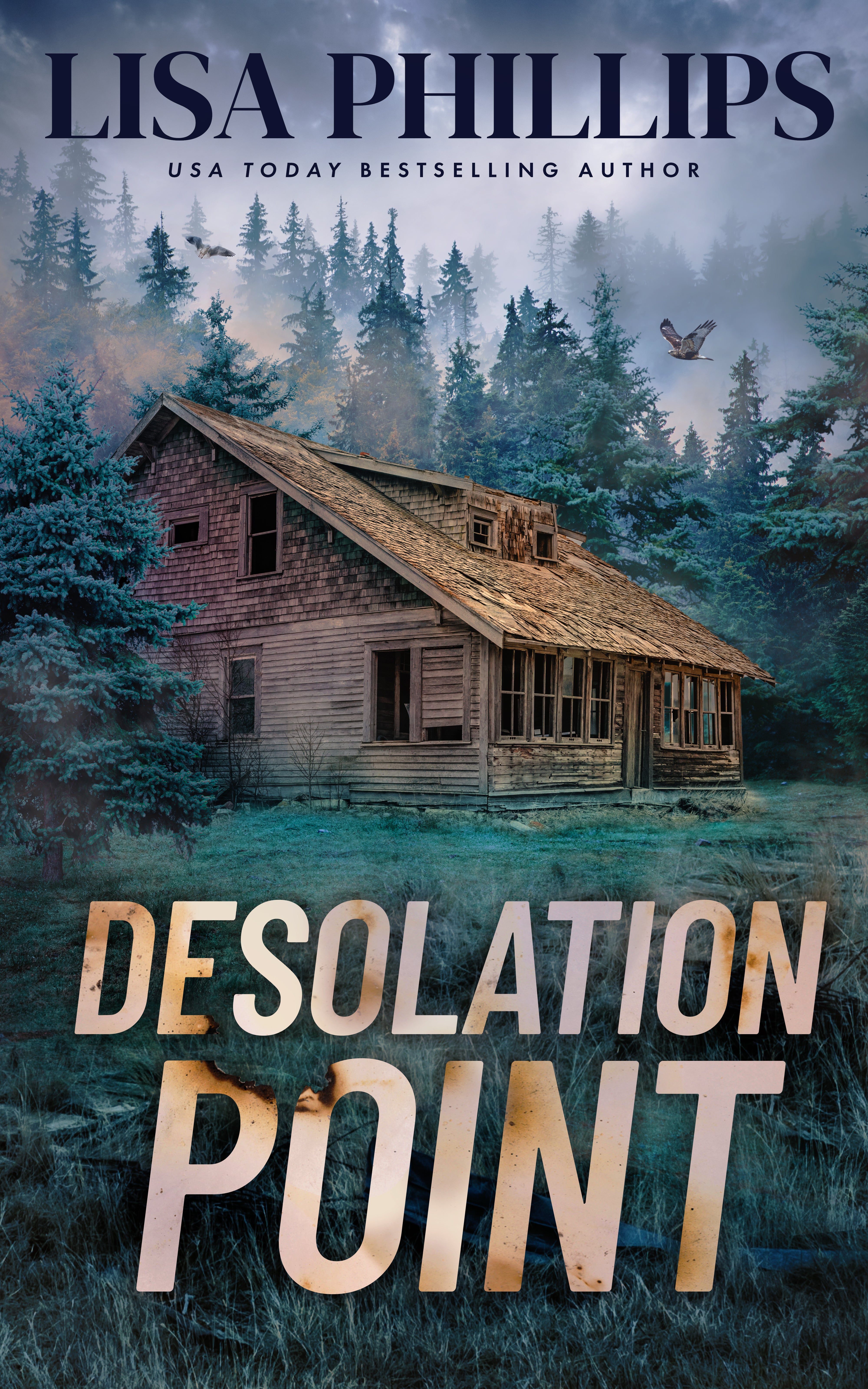 Desolation Point (2nd Edition)