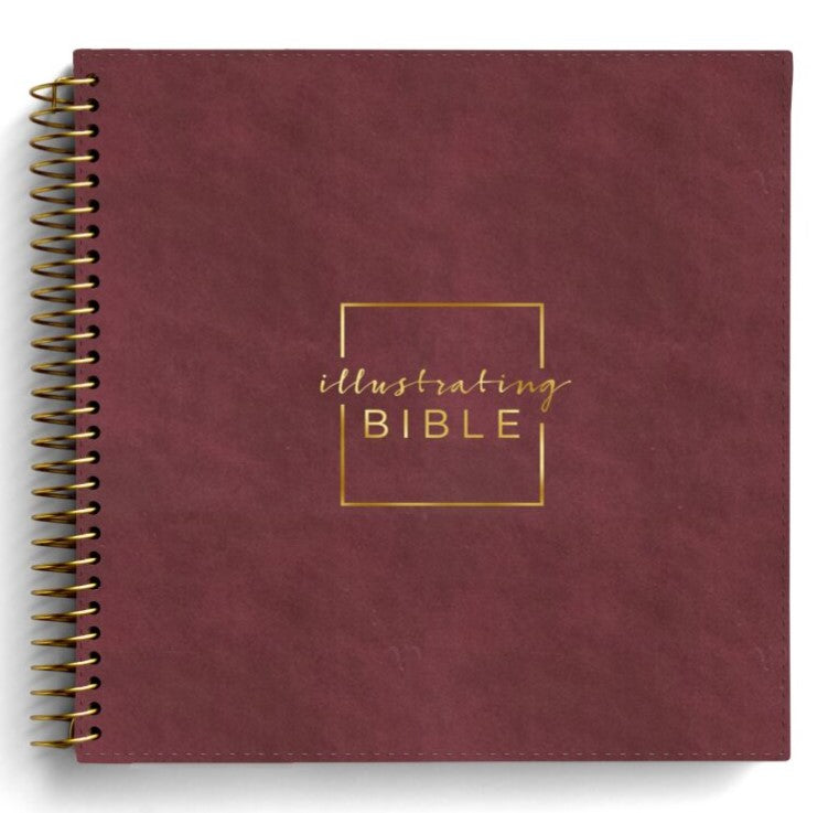 CSB Illustrating Bible, Cranberry